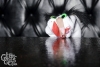 sockpuppetparty-111