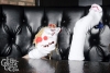 sockpuppetparty-116