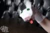 sockpuppetparty-186