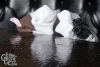 sockpuppetparty-237