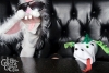 sockpuppetparty-255