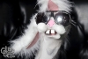 sockpuppetparty-256