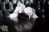 sockpuppetparty-272