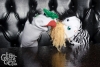 sockpuppetparty-302